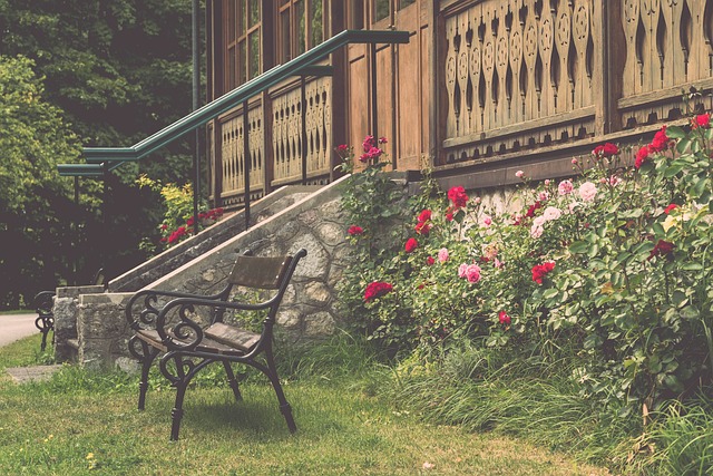 中華隊在面 中華隊在面