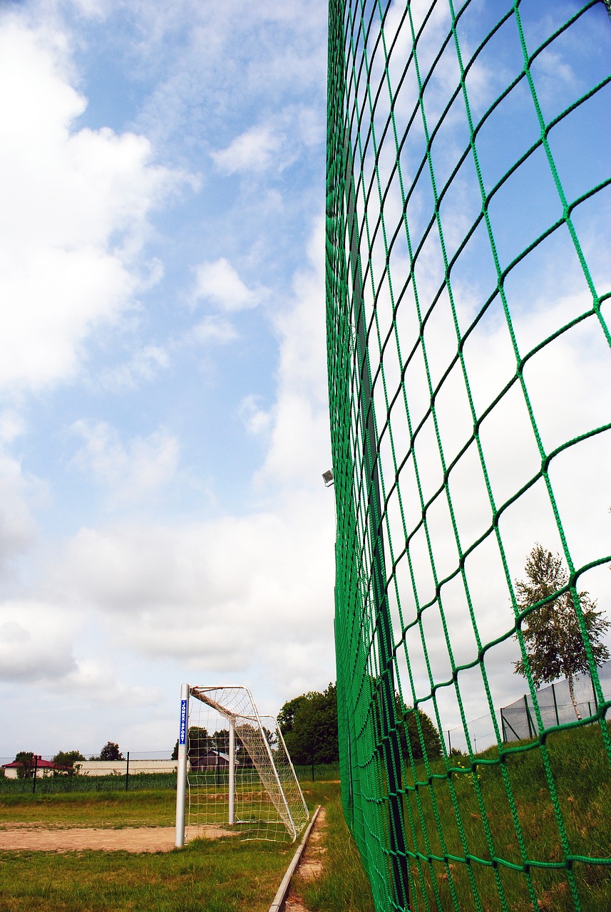 本文将带您 本文将带您