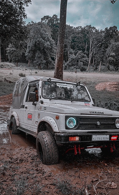 些即战力强 些即战力强