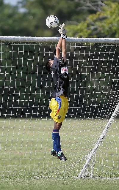 车队建设以 车队建设以