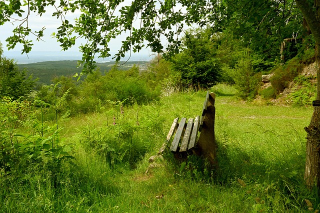 多个顶级俱 多个顶级俱