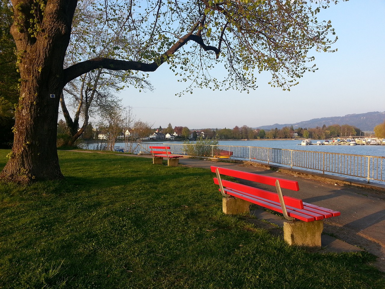 无法替代的 无法替代的