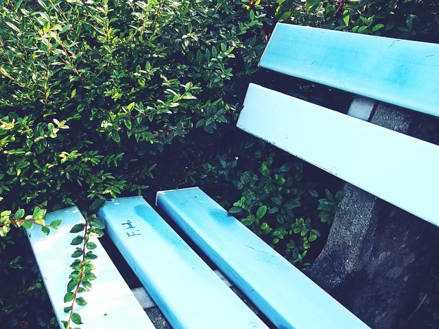 的专业知识 的专业知识